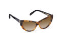 Away From Hero. Model 1. Sun. Panama Tortoise with Solid Black Temples